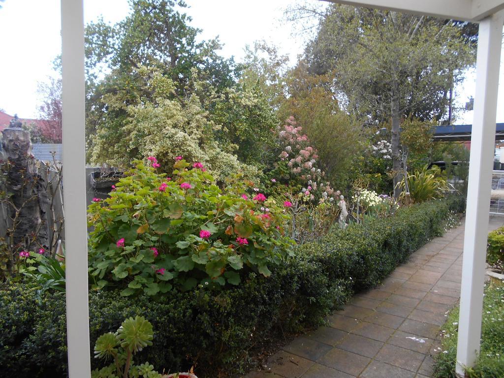 Travellers Rest B&B Penola Oda fotoğraf
